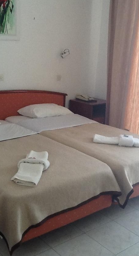 Alkmini Hotel 