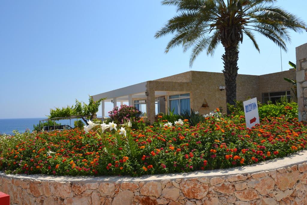 Aphrodite Beach Hotel 
