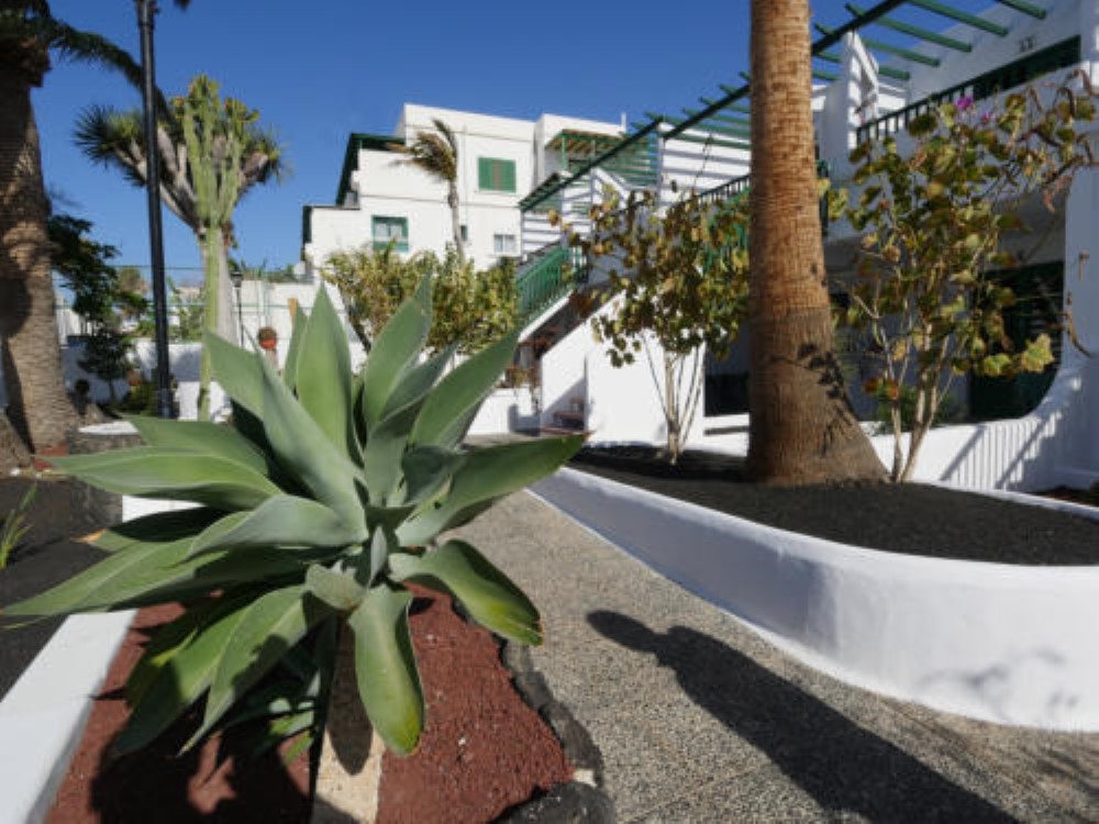 Apartamentos Tropicana 