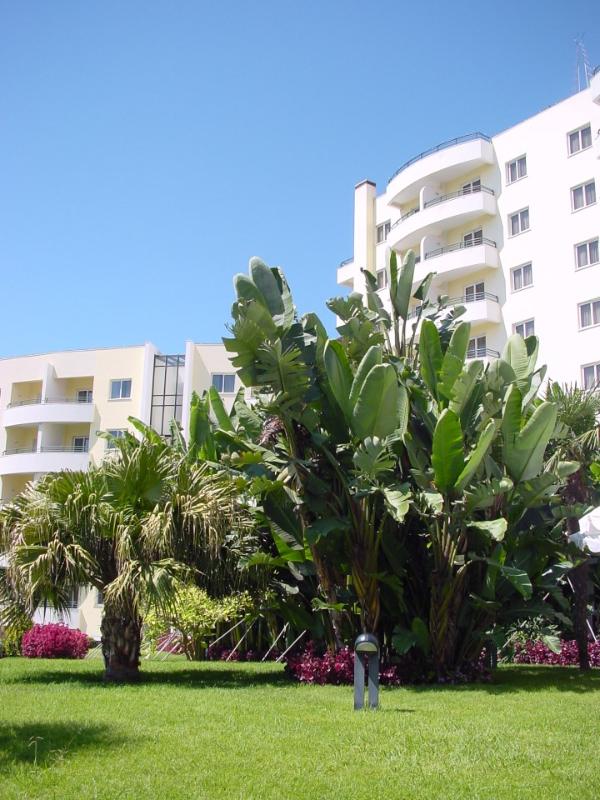 Suite Hotel Jardins Da Ajuda 