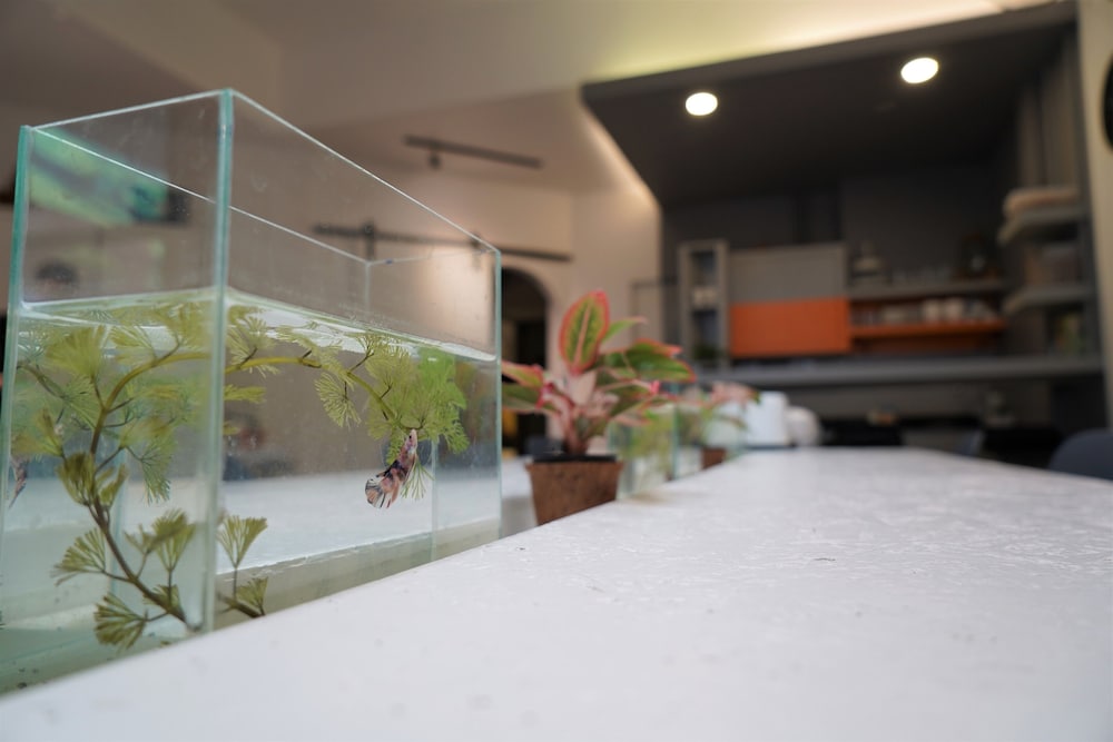 Silom Studios 