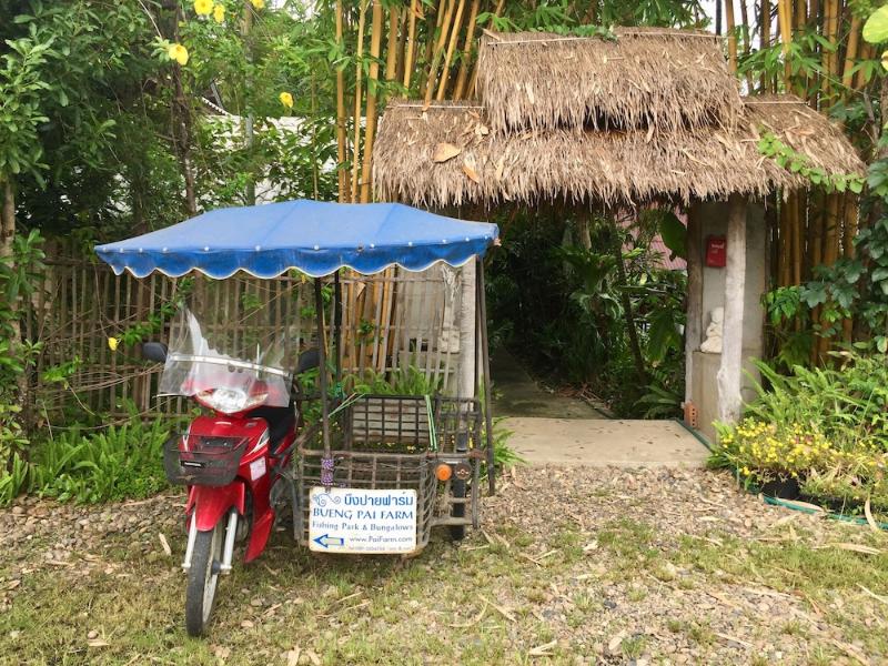Bueng Pai Farm 
