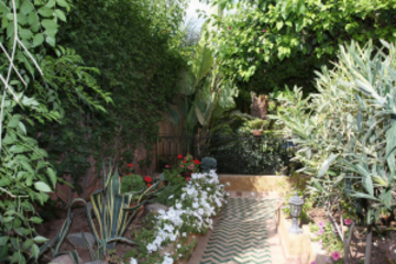 Riad Mazal 