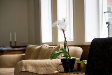 Dragsvik Fjordhotel 