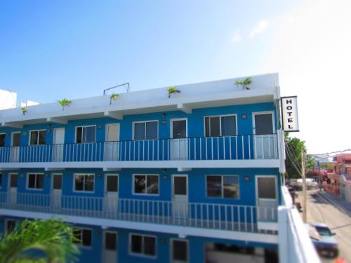 Blue Coconut