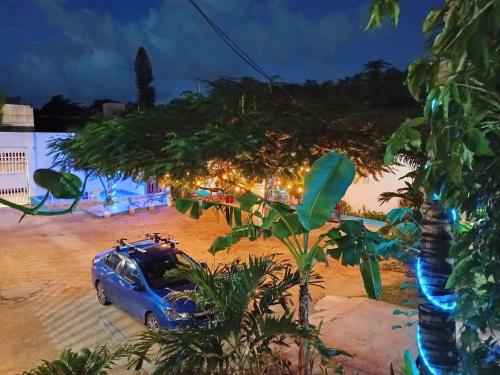Blue Coconut, foto 16